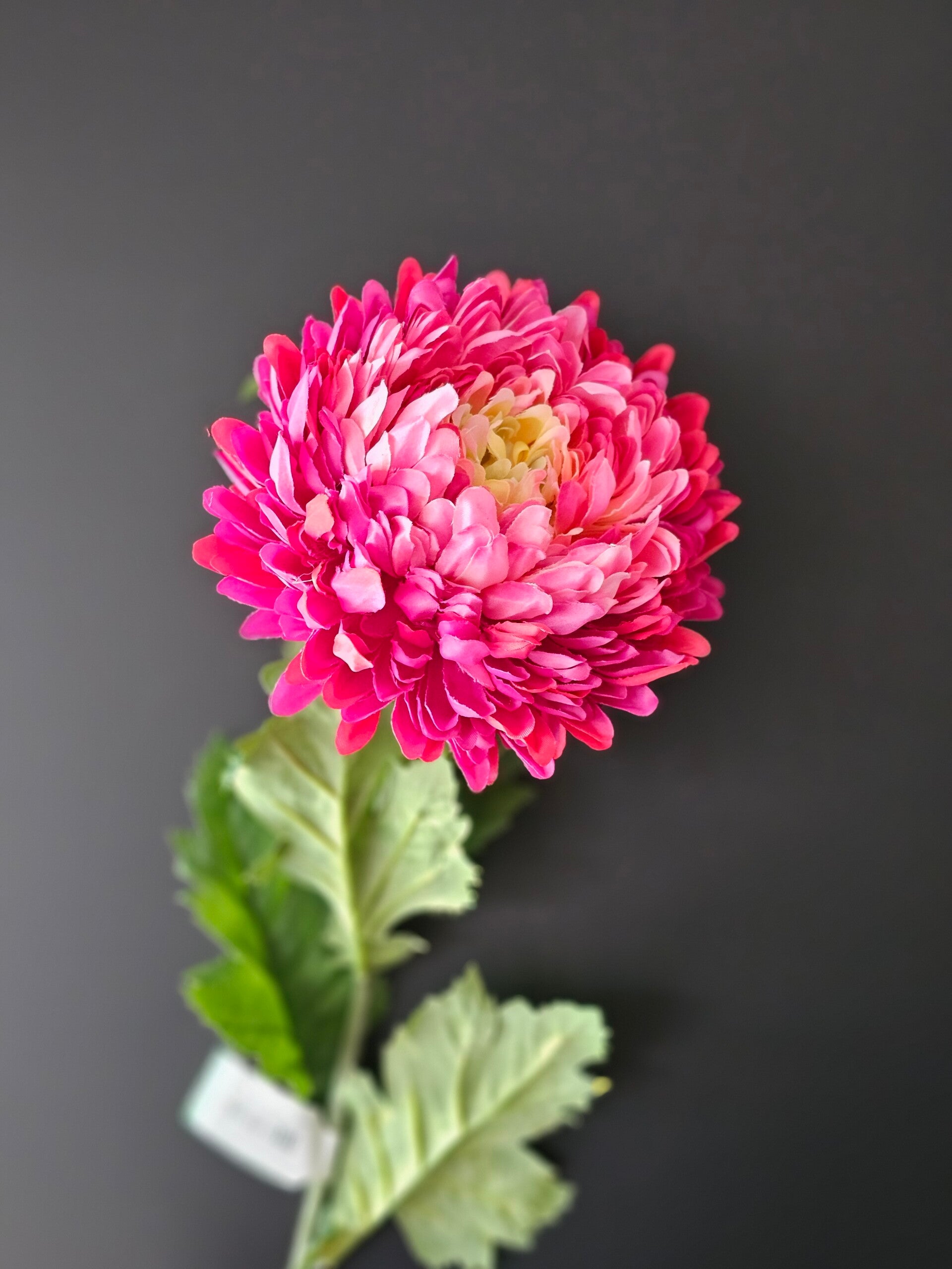 Mum Spray