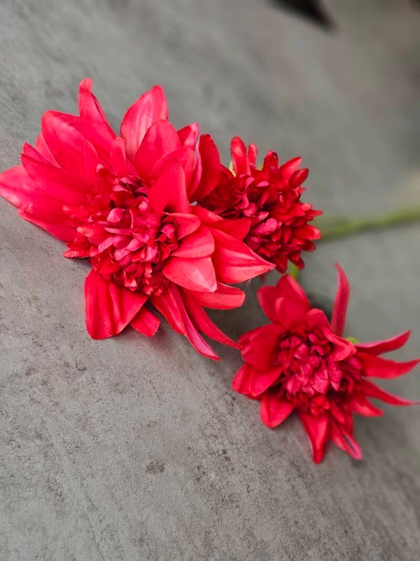 Dahlia real touch Pink