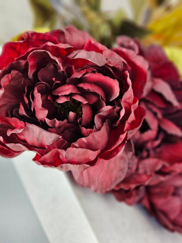 Pioenroos Burgundy 75cm