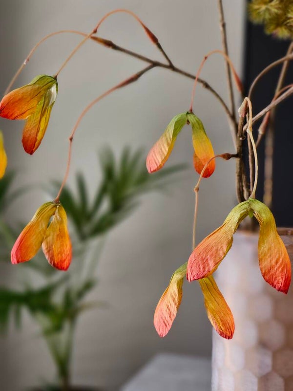 Maple seed spray Orange 100cm