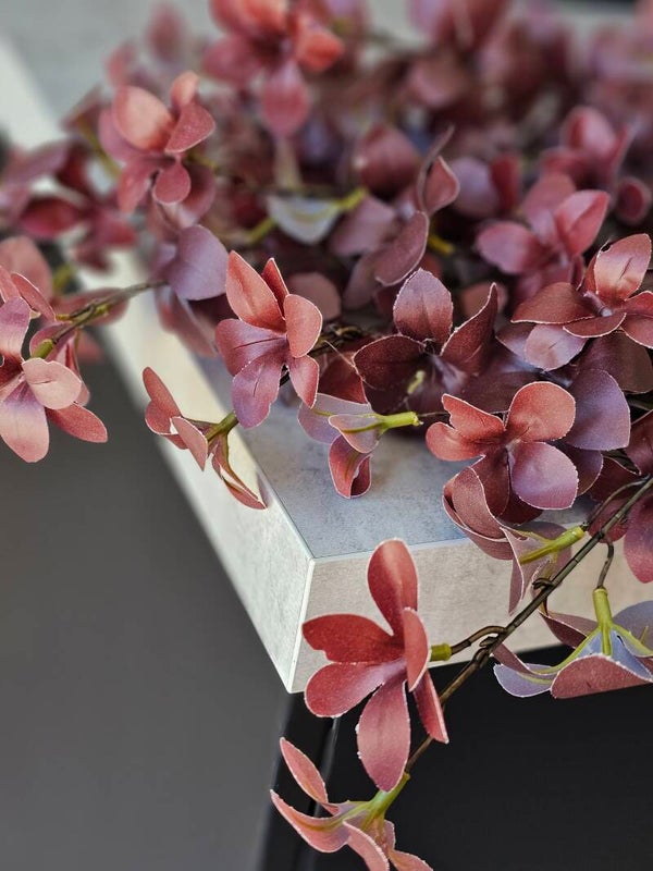 Tropaeolum spray Burgundy 85cm