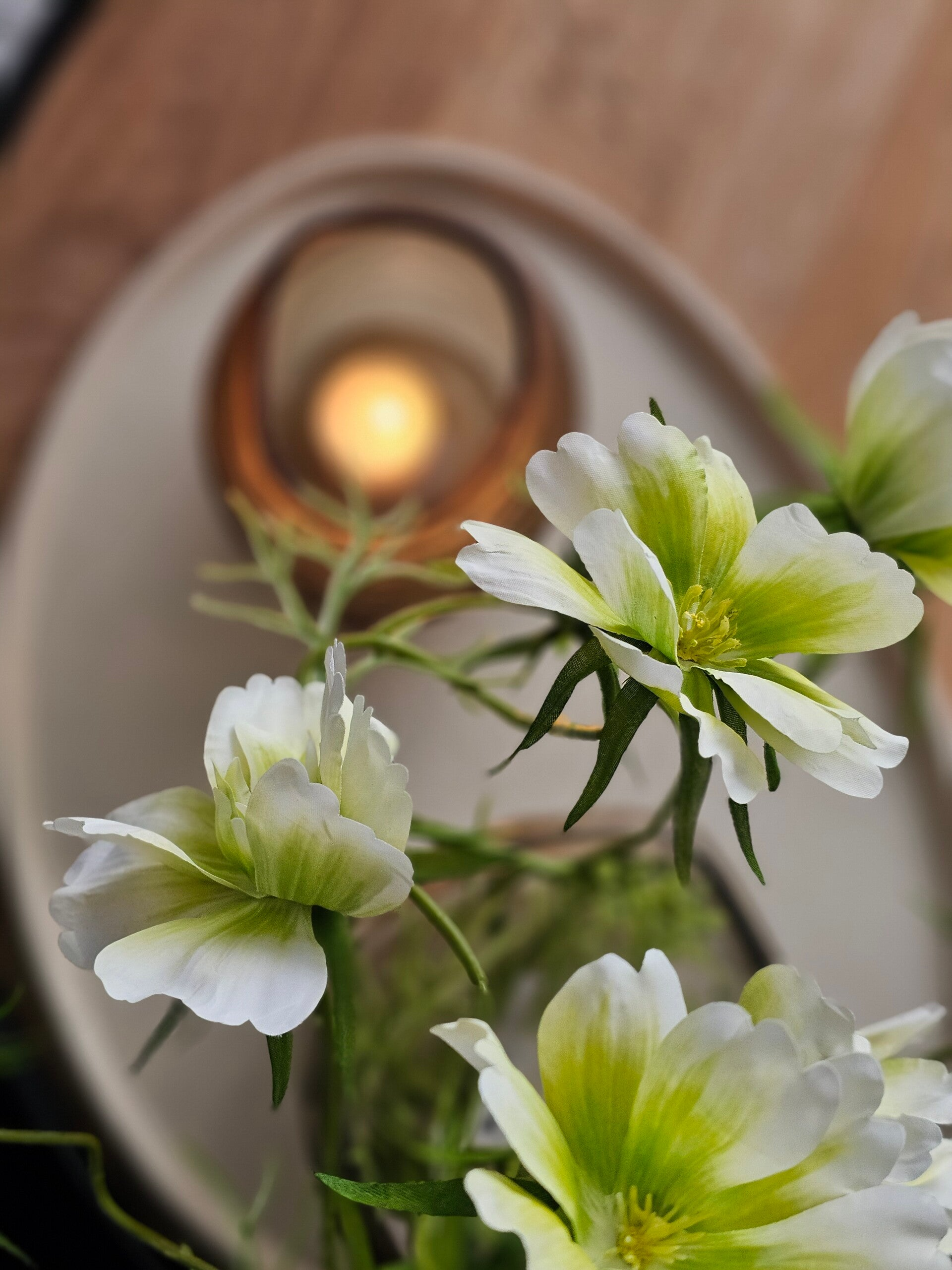 Anemone white/green 70cm