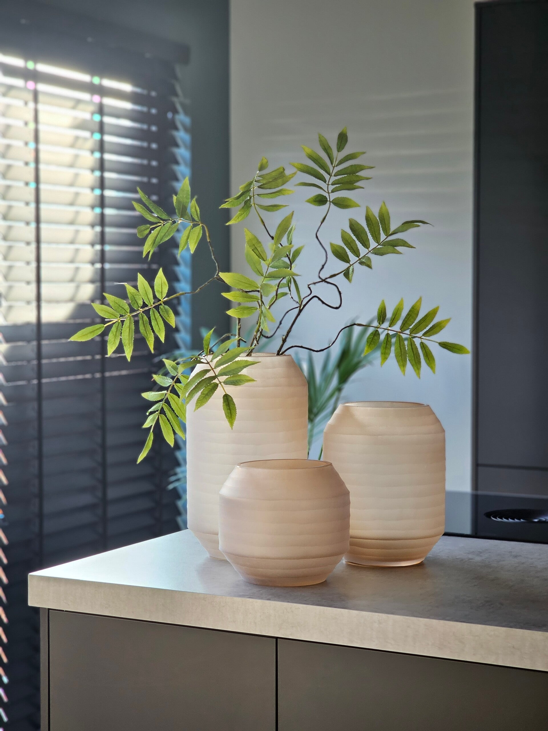 Vaas Odess S, M en L