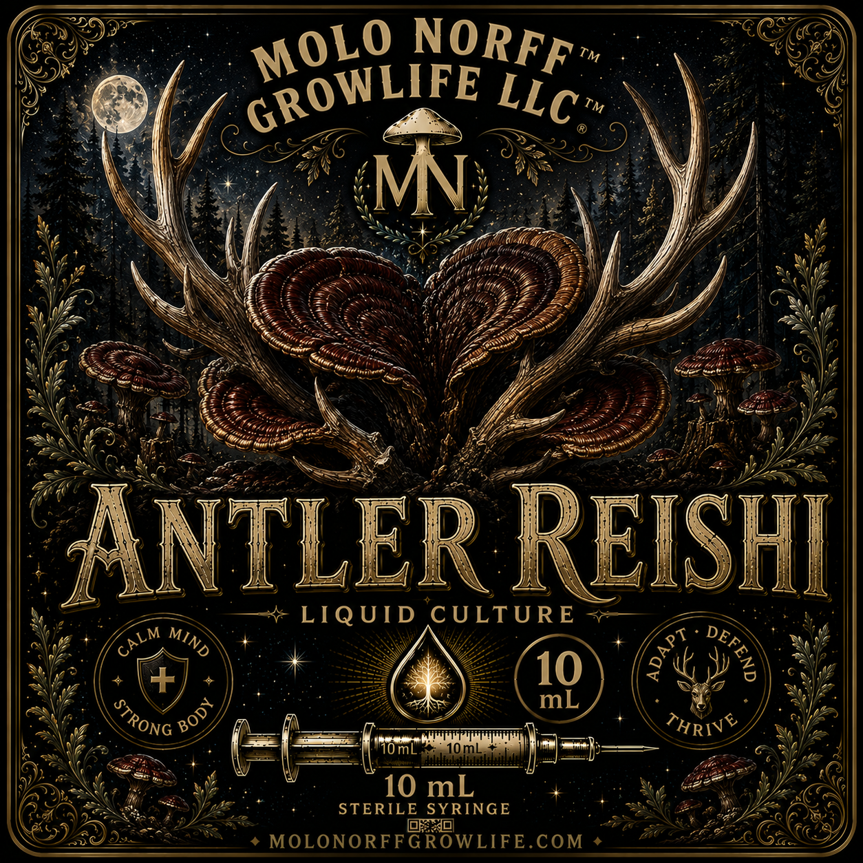 Antler Reishi