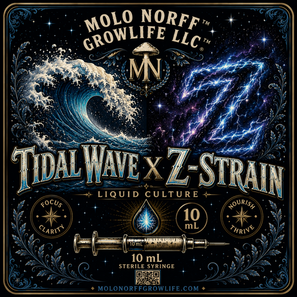 Tidal Wave x Z -Strain