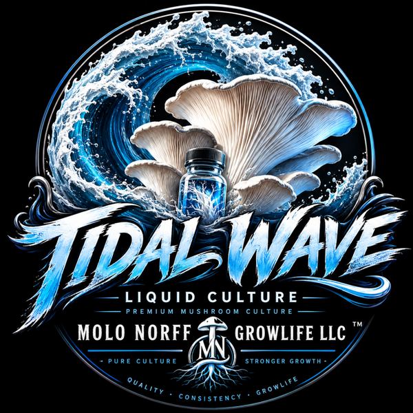 Tidal Wave