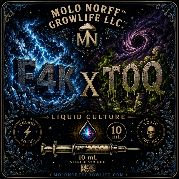E4K x TOQ