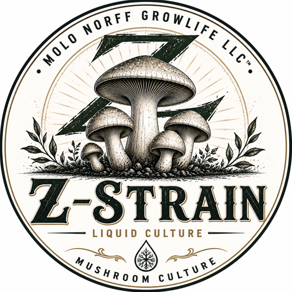 Z Strain