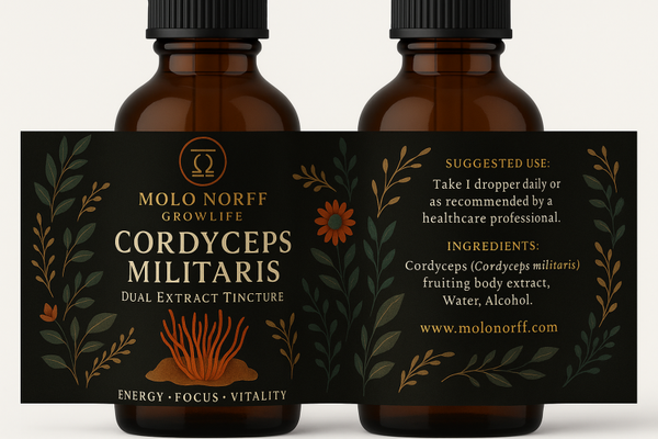 Cordyceps Militaris Dual Extract Tincture 1 oz.