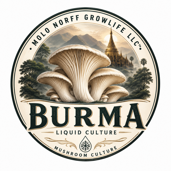 Burma