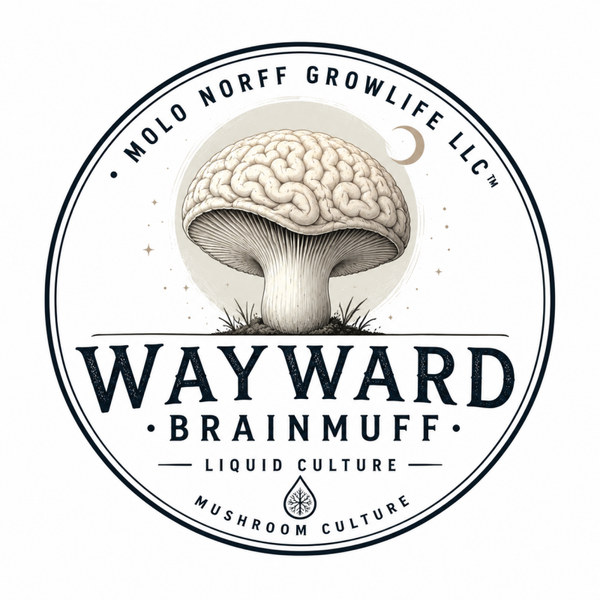 Way Ward x Brainmuff