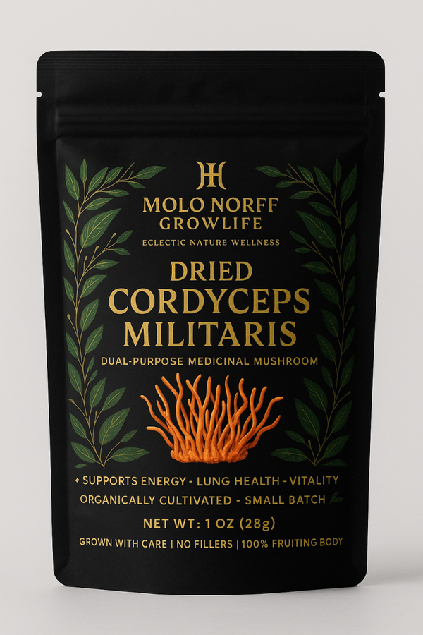 1oz Dried Cordyceps mushroom