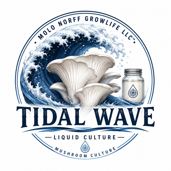 Tidal Wave
