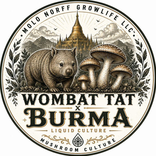 Wombat Tat x Burma