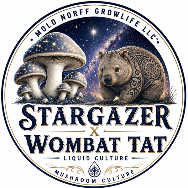 Stargazer x wombat Tat