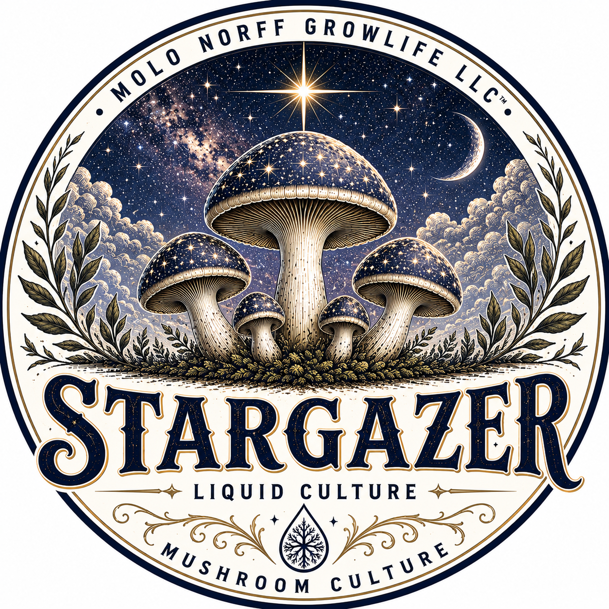 Stargazer