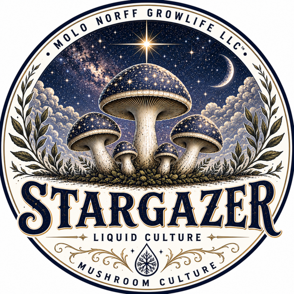 Stargazer