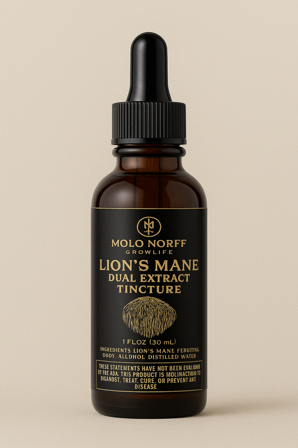 Lion’s Mane Dual extraction tincture