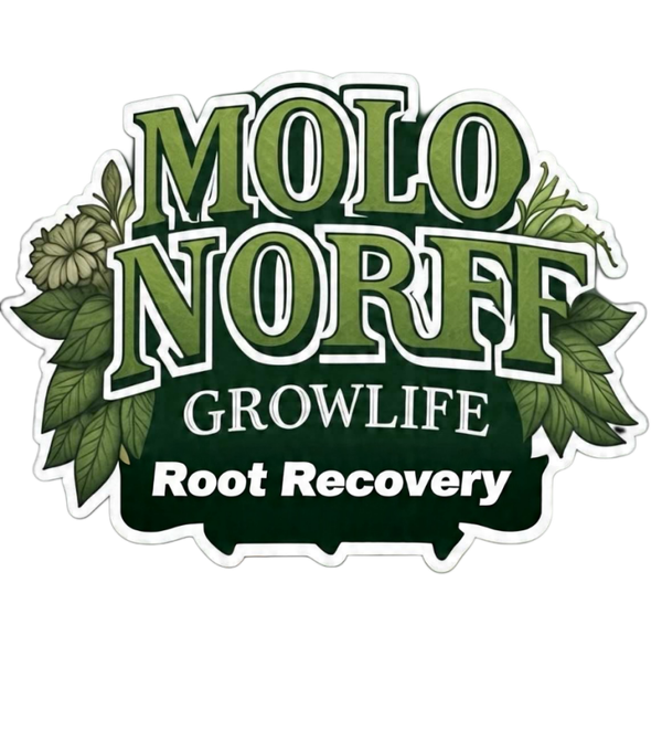 Root Recovery