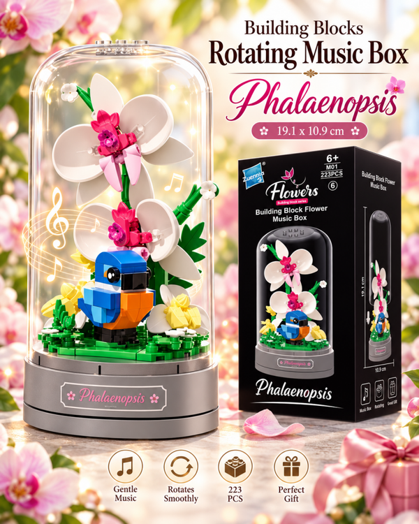 Building Blocks Music Box Phalaenopsis