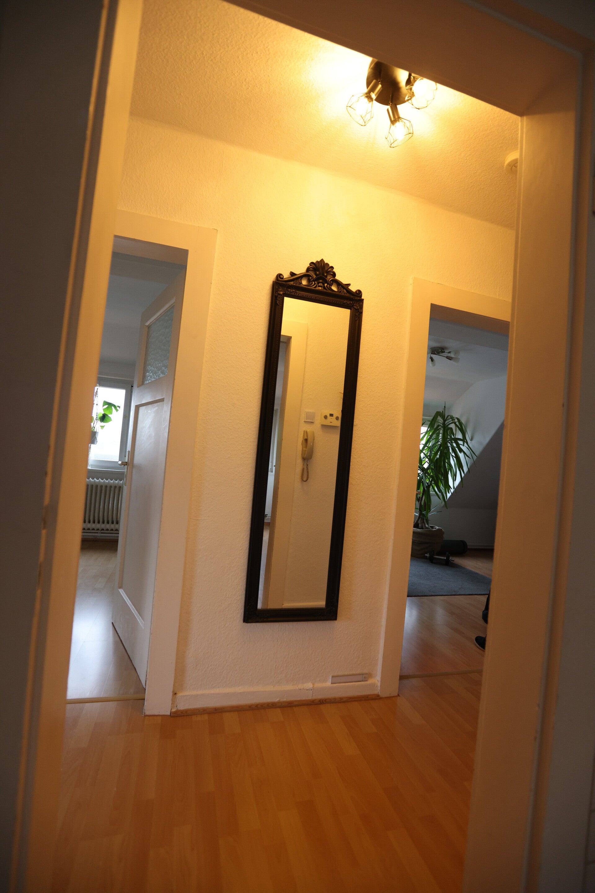 2-og-flur-3-standard-z74lxx.jpg