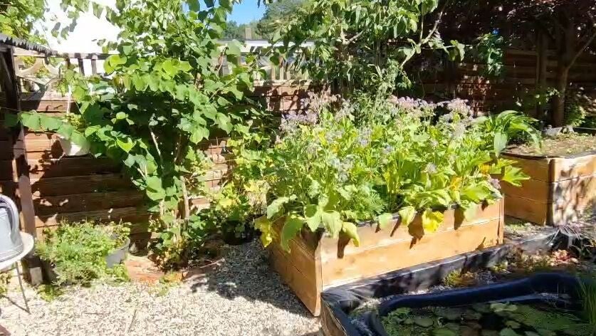 garten-unten-hochbeete-standard.jpg
