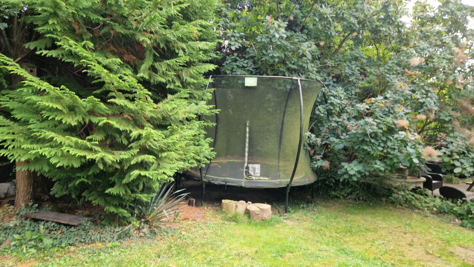 garten-unten-trampolin-standard.jpg