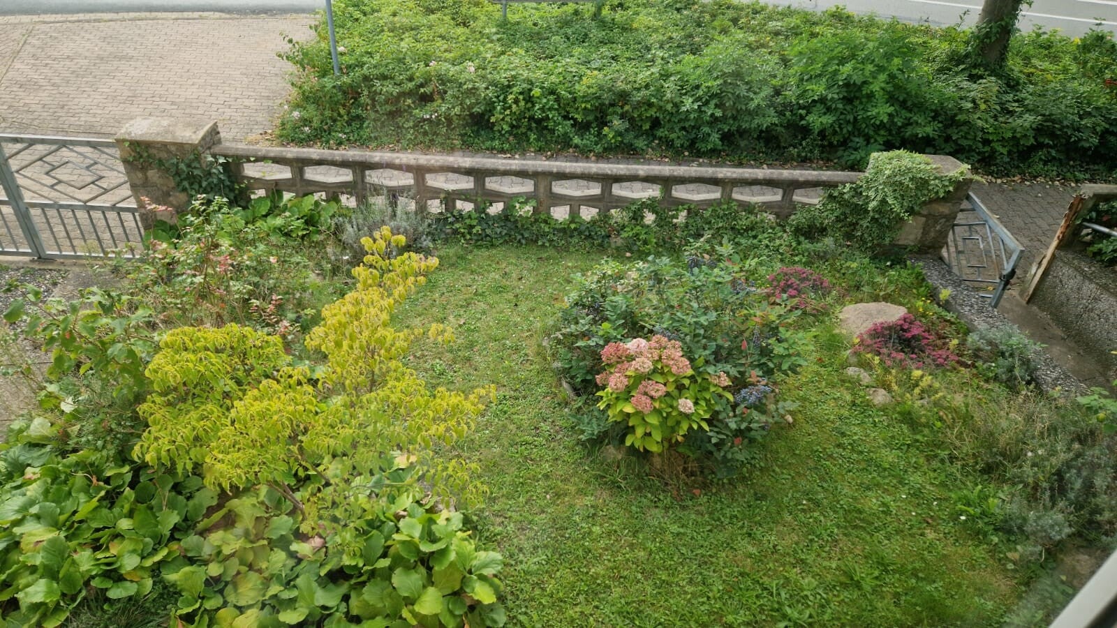 vorgarten-blumen-1-standard.jpg