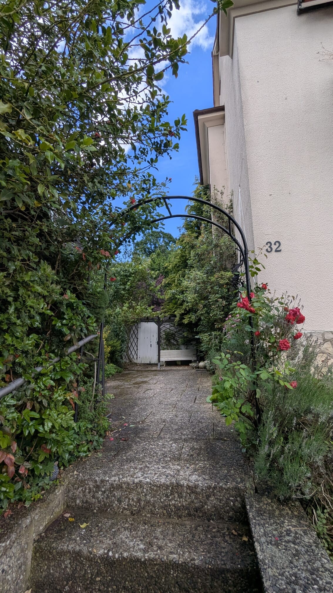 vorgarten-treppe-standard.jpg
