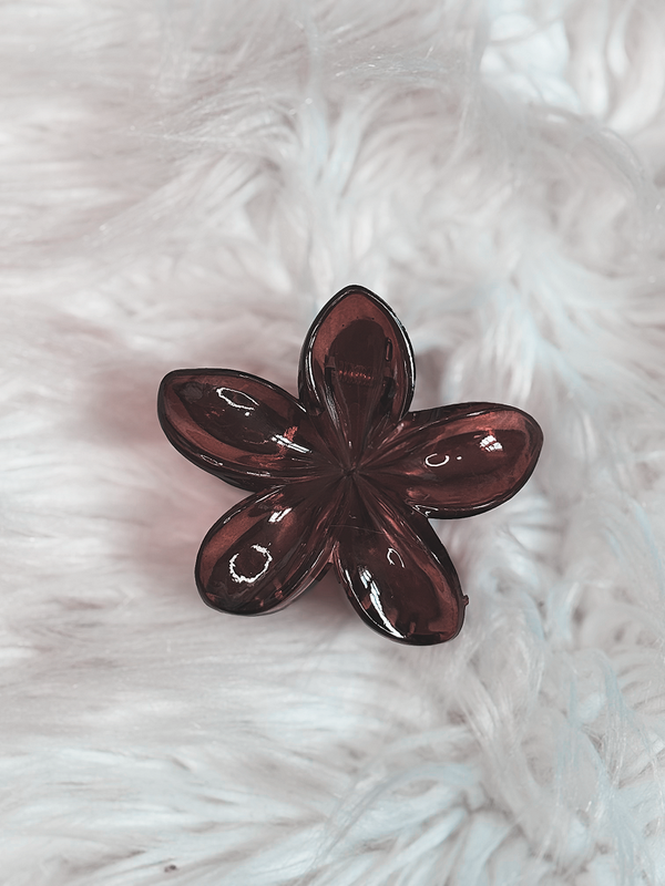 Pince fleur marron transparente
