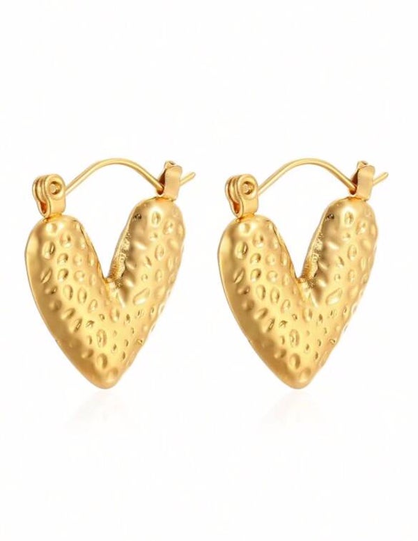 Earrings ★ Heart him