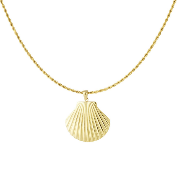 Necklace ⭑ Shell