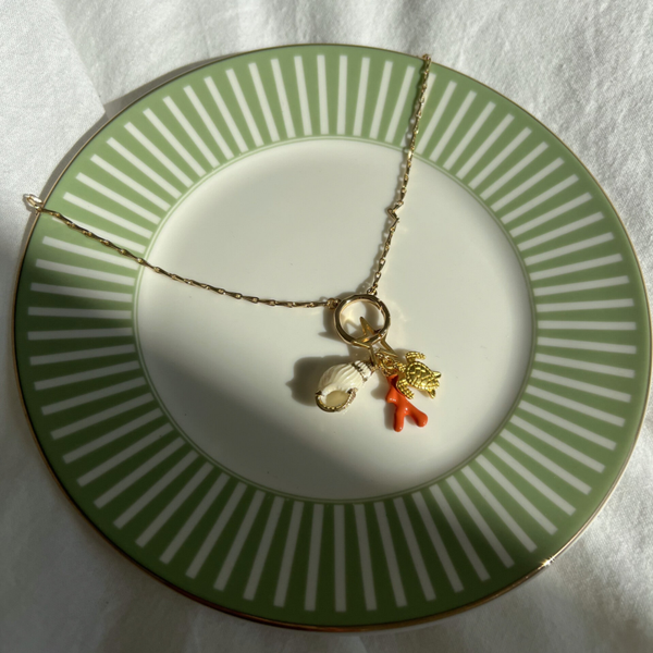 Necklace 🪸 Turtle