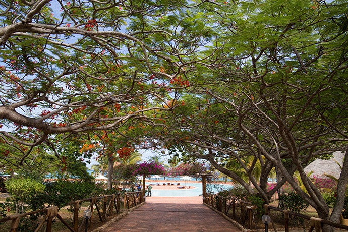 ZANZIBAR       CLUB  DONGWE  DA ROMA  VOLO DIRETTO  02/09 MARZO