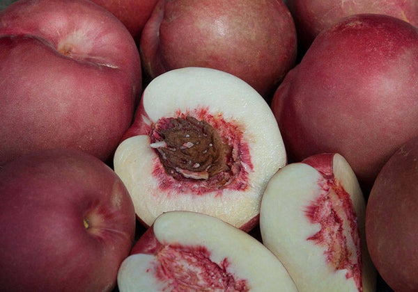 Spice Zee Nectaplum