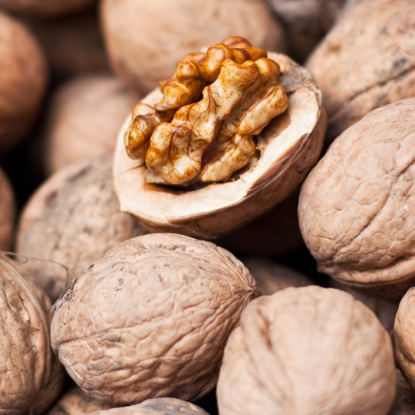 Walnut Lara Bareroot