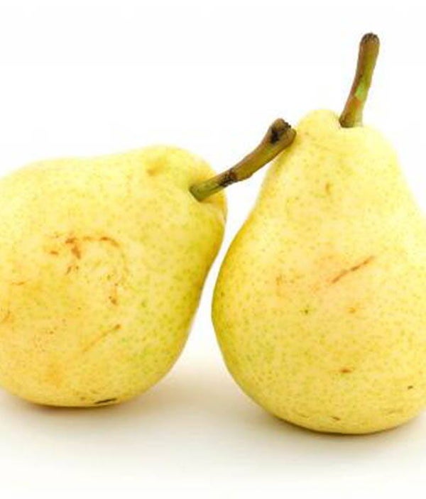 Orange Pear Bareroot 2yr