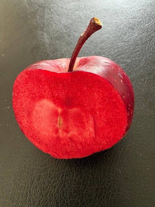 Red Love Era Apple Bareroot