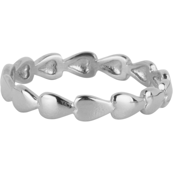 Charmins ring R1649 staal