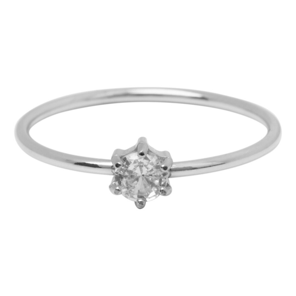 Charmins ring R1693 staal