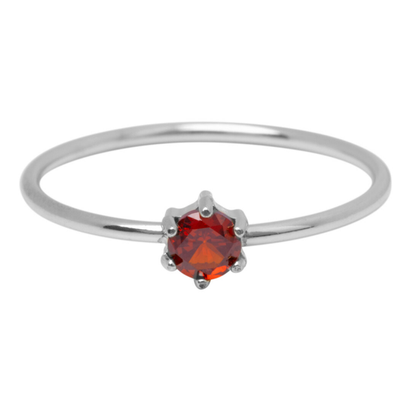 Charmins ring R1696 staal