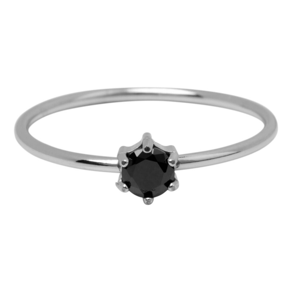 Charmins ring R1702 staal