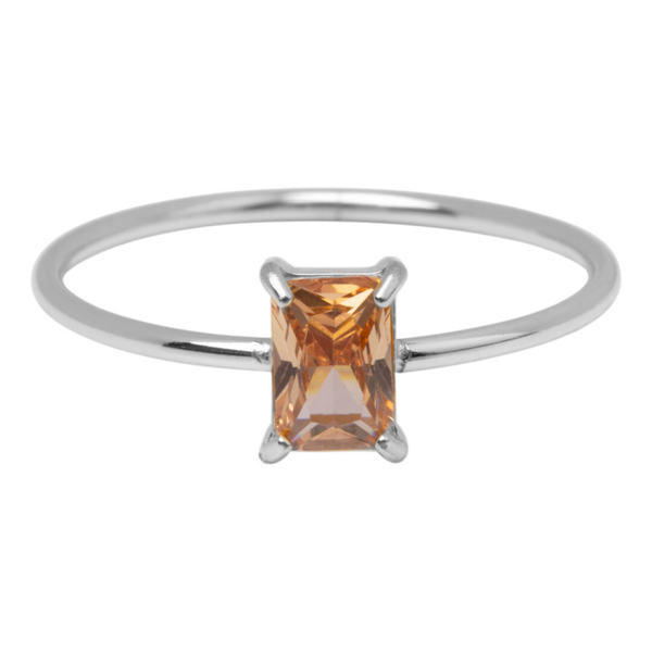 Charmins ring R1714 staal