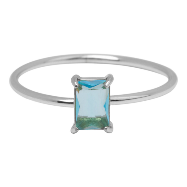 Charmins ring R1719 staal