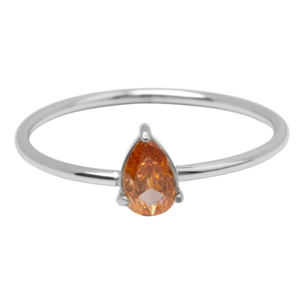 Charmins ring R1734 staal