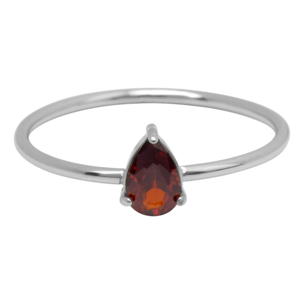 Charmins ring R1736 staal