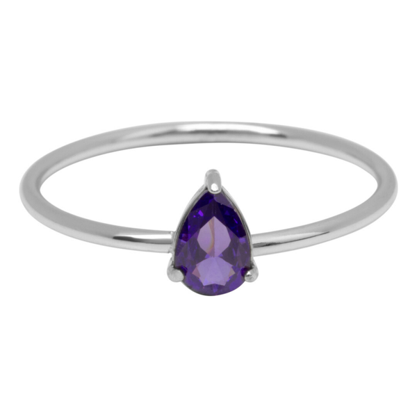 Charmins ring R1737 staal