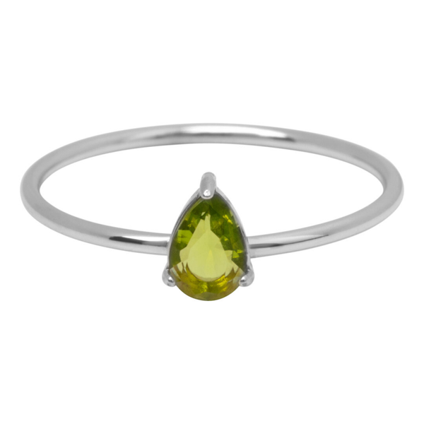 Charmins ring R1740 staal