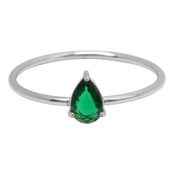 Charmins ring R1741 staal