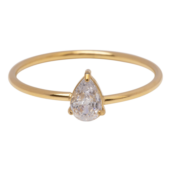 Charmins ring R1743 goud